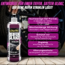 Shiny Chiefs REIFENGLANZ - Tire Gel 500ml