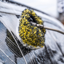 Shiny Chiefs BRUSH COVER - BÜRSTENÜBERZUG FÜR SB WASCHBOX